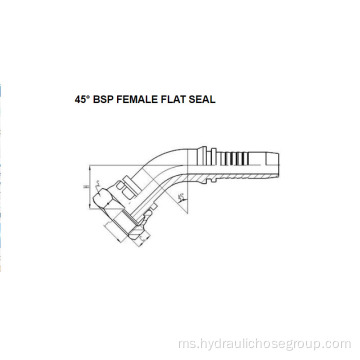 45 ° BSP Perempuan Flat Seal 22241